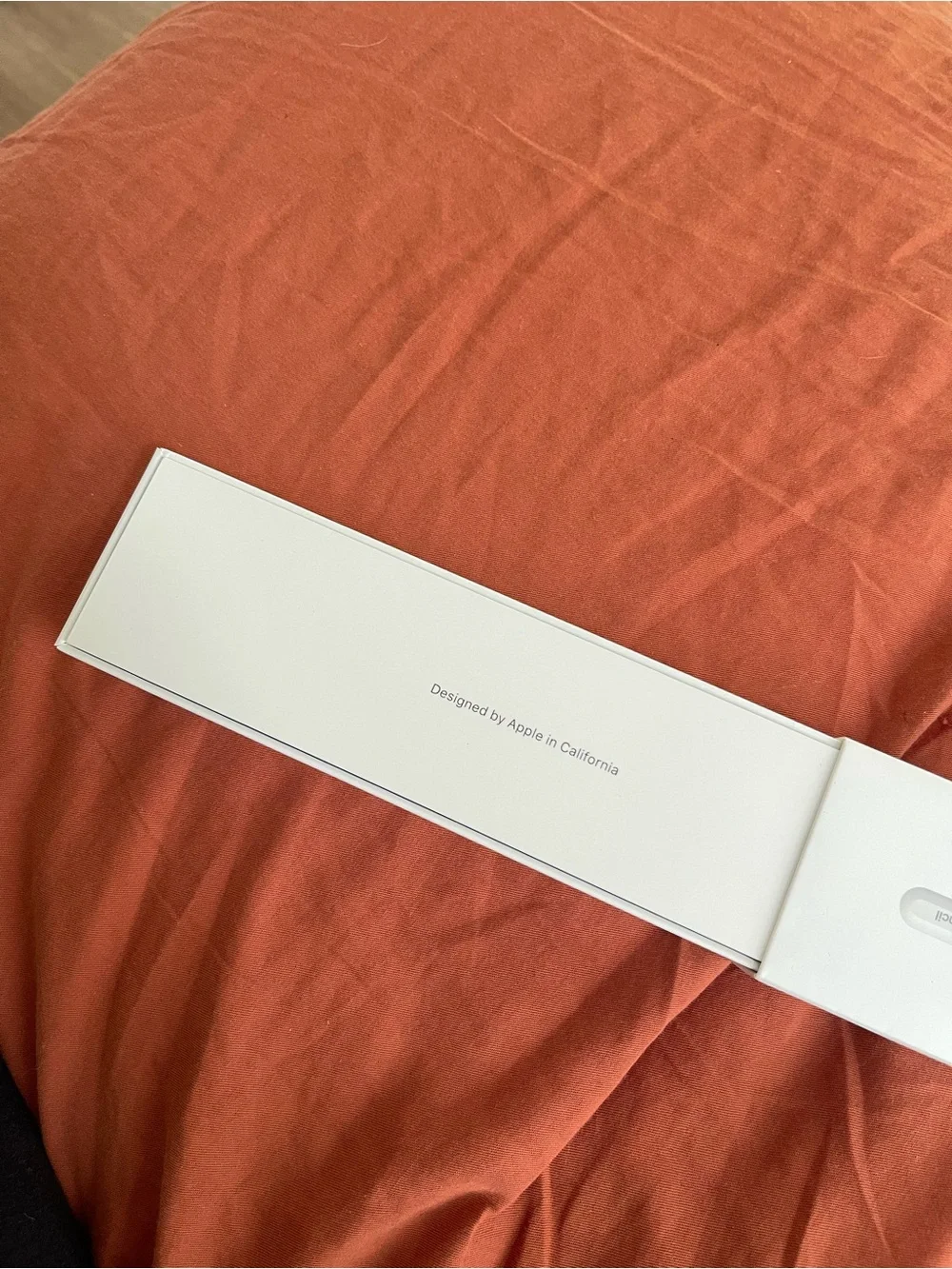 Apple stylus clean